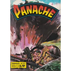 Panache (214) - Traitement de Choc