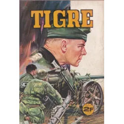 Tigre (7) - Le premier combat de Jets