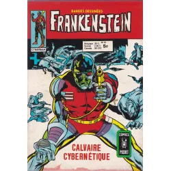 Frankenstein (10) - Calvaire cybernétique