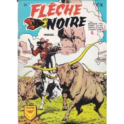 Flèche noire (31) - Un fantôme chez les sioux