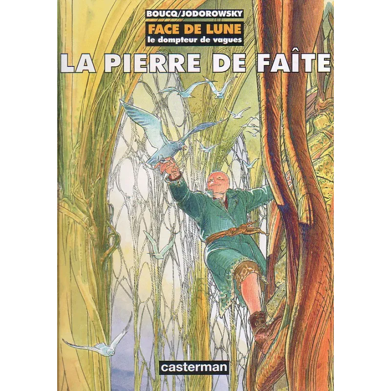 1-face-de-lune-la-pierre-de-faite