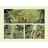 Marsupilami (HS) - Houba une histoire d'amour
