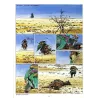 Les tours de bois Maury (8) - Le Seldjouki