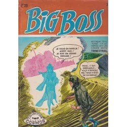 Big Boss (2) - Perdu dans un mirage