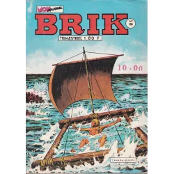 Brick (159) - Le faux espoir