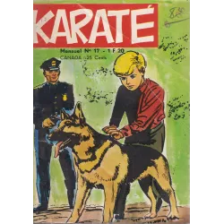 Karaté (17) - Un sosie