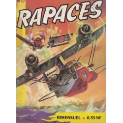 rapaces (17) - Vol de nuit