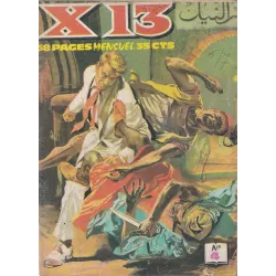 X-13 agent secret (100) - L'idiot du village