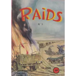 Raids (3) - Héros des sables