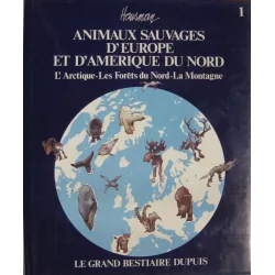 1-l-artique-les-forets-du-nord-la-montagne