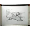 Papyrus (HS) - Sur les traces de David Roberts (2)