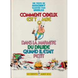 Astérix (HS) - Comment Obélix est tombé dans la marmite...