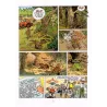 Jeannette Pointu (17) - Opération clonage