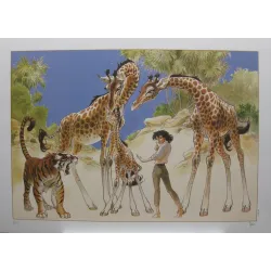 1-frank-pe-les-girafes