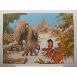 1-frank-pe-les-elephants