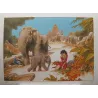 1-frank-pe-les-elephants