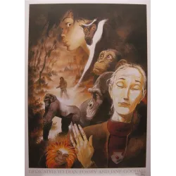1-jane-fossey-jane-goodall