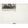 Le tonkinois (1) - Le tonkinois
