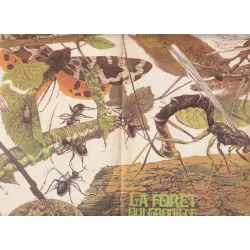 La foret qui grouille