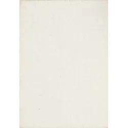 Duke White (1) - Vers le nouveau monde