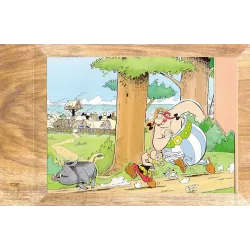 1-asterix1