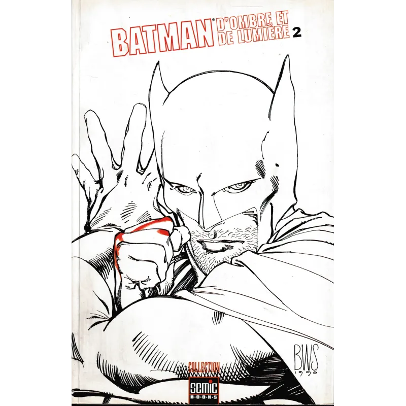 Batman d'ombre et de lumière - D'ombre et de lumière (2)