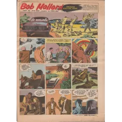 Bob Mallard - Tricher n'est pas jouer