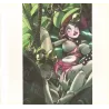 Les filles de Soleil (5) - Les filles de Soleil