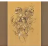 Les filles de Soleil (14) - Les filles de Soleil