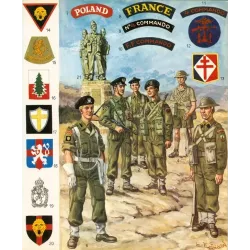 L'uniforme et les armes des soldats de la guerre 1939-1945 (Tome 3)