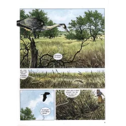 Mémoire des arbres (5) - La belle coquetière - (1)