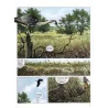 Mémoire des arbres (5) - La belle coquetière - (1)