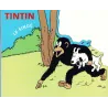 Tintin (HS) - Le singe