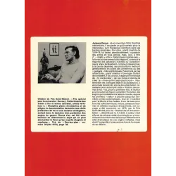 copy of La petite histoire des armes à feu (1) - La petite histoire
