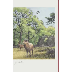 copia de copia de Journal d'une bataille (1) - Journal d'une bataille