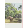 Cópia de Cópia de Journal d'une bataille (1) - Journal d'une bataille