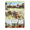 copia de copia de copia de Alix (27) - Le démon du Pharos