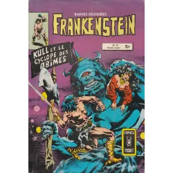 copy of copy of Frankenstein (10) - Calvaire cybernétique
