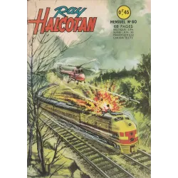 copy of Ray Halcotan (29) - Poursuite implacable