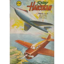 copy of Ray Halcotan (67)