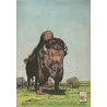 copy of Jerry Spring (3) - Lune d'argent