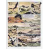 Tounga (14) - La dernière épreuve