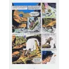 Tounga (8) - Pour sauver les Urus