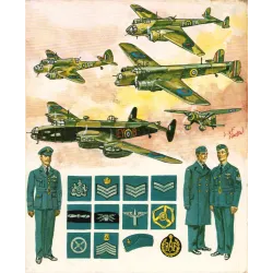 Uniformes et les armes des soldats de la guerre 1939-1945 (2)  - Tome 2