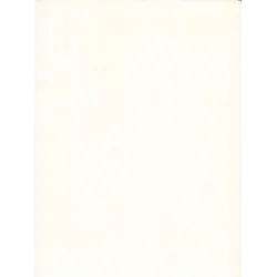 copy of Eric Castel - Section R (HS) - L'Anderlechtois