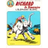 copy of Raoul et Gaston - Richard le téméraire (1) - La vallée mystérieuse