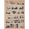 Le Moustique (36) - Bikini 1950