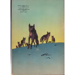 Jerry Spring (6) - La piste du grand nord