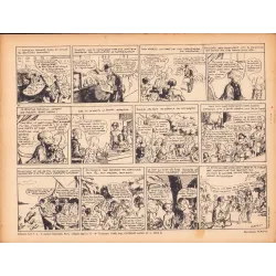 Koutjita petit oiseau des îles