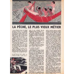 Mini-récits (123) - Le prix banane